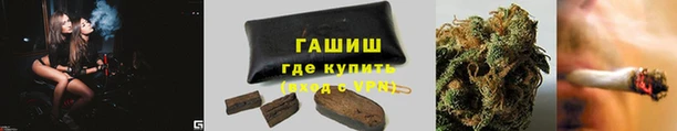 гашик Арсеньев