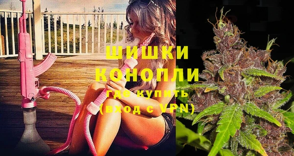 гашик Арсеньев
