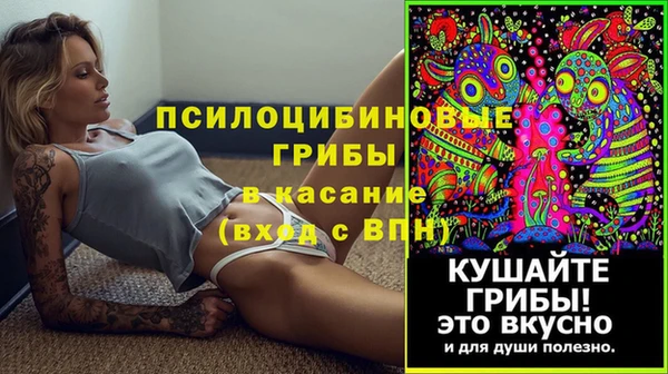 молекула духа Аркадак