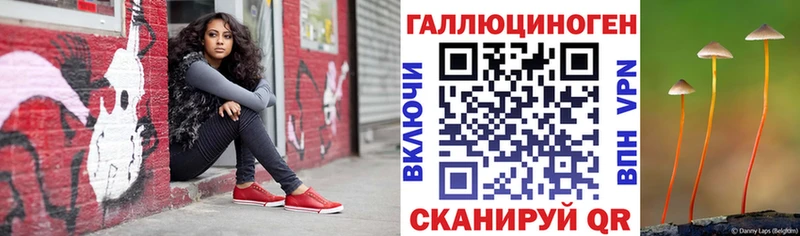 купить  сайты  Чёрмоз  kraken ТОР  Псилоцибиновые грибы Psilocybe 